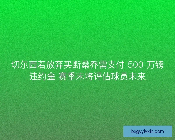 切尔西若放弃买断桑乔需支付 500 万镑违约金 赛季末将评估球员未来