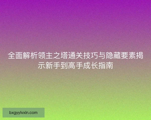 全面解析领主之塔通关技巧与隐藏要素揭示新手到高手成长指南
