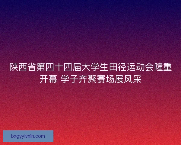 陕西省第四十四届大学生田径运动会隆重开幕 学子齐聚赛场展风采
